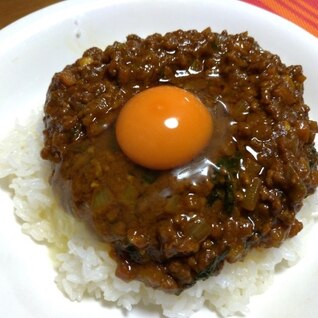 濃いめ！ドライカレー